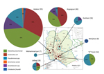 Thumbnail of Diversity of New-Delhi metallo-β-lactamase variant 1–encoding species and the number found in 58 locations in 7 regions (red circles on map) of Dhaka, Bangladesh, October 2012. Individual sampling sites were within 2 km of each sampling region, and the number of sites varied from 6 to 10 per region. Pie charts indicate the proportions of different blaNDM-1–positive bacteria isolated in each region; colors indicate specific species. The diameter of each pie chart is directly proporti