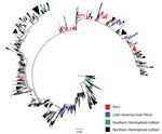 Thumbnail of Maximum-likelihood phylogeny of hemagglutinin sequences of influenza A(H3N2) viruses from Peru and other global locations, rooted with the oldest available sequence (A/Hong Kong/CUHK52390/2004). Scale bar indicates number of nucleotide substitutions per site.