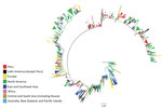 Thumbnail of Maximum likelihood phylogeny of hemagglutinin sequences of influenza A(H3N2) viruses from Peru and other global locations, rooted on the oldest available sequence (A/Hong Kong/CUHK52390/2004). Clades containing strains from Peru and a neighboring country are indicated by the letters a–c, designating Bolivia (a), Chile (b), and Ecuador (c). The letter d indicates phylogenetic evidence of migration from Peru to North America, with onward transmission after seeding that region. Scale b