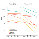 Thumbnail of Complete population counts on a log scale of 4 species of bats at 2 sites in Illinois, USA, over 2 winters, 2012–13 and 2013–14. Diamonds and triangles indicate sites.