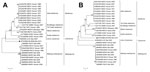 Thumbnail of Phylogenetic analysis of 2 fragments of filovirus Bt-DH04 and other filoviruses. Full genomes of representatives from the family Filoviridae were trimmed and aligned with F1 (partial nucleoprotein/viral protein 35 gene, panel A) and F2 (middle L gene, panel B) of filovirus strain Bt-DH04 by using ClustalW version 2.0 (http://www.clustal.org), then phylogenetically analyzed by using MEGA6 (http://www.megasoftware.net) by the maximum-likelihood method, resulting in a bootstrap testing