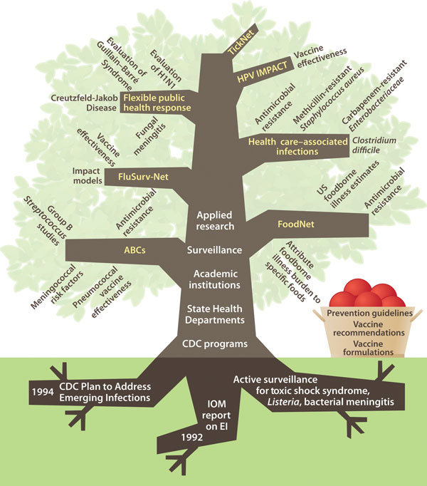 Structure and development of the Emerging Infections Program, United States. ABCs, Active Bacterial Core Surveillance; CDC, Centers for Disease Control and Prevention; IOM, Institute of Medicine; EI, emerging infections; HPV, human papillomavirus.