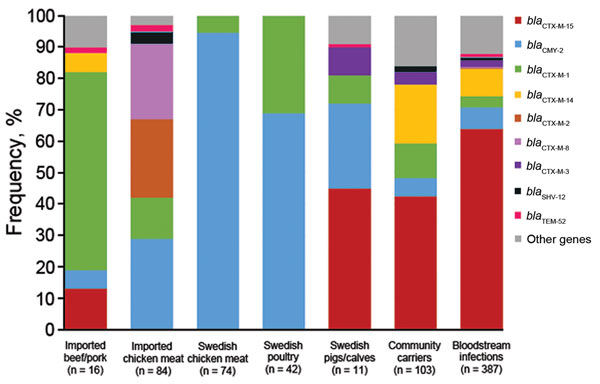 Frequency of overlapping extended-spectrum β-lactamase– and plasmid-encoded AmpC genes in Escherichia coli isolates from various sources, Sweden. Data for leafy greens were excluded because there were only 2 isolates (both blaCTX-M-1) from this source.