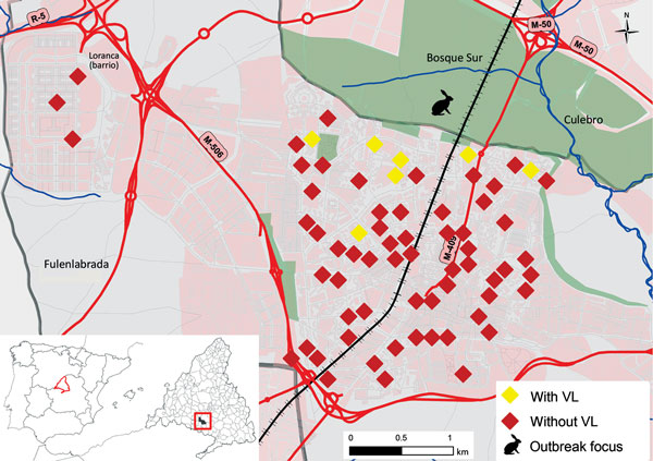 Spatial distribution of solid organ transplant recipients in the southwest area of Madrid, Spain, in relation to park that was focus of visceral leishmaniasis (VL) outbreak, January 1, 2005–January 1, 2013. Map inset shows the location of the outbreak in relation to the rest of Spain. VL, visceral leishmaniasis.