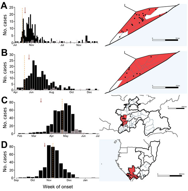 Incidence of serotype 1 poliomyelitis cases and time and location of 4 large outbreaks in Somalia, Tajikistan, and Congo: A) Somalia, 2005–2007; B) Somalia, 2013; C) Tajikistan, 2010; D) Congo, 2010. The charts on the left indicate weekly incidence of confirmed polio (black) and polio-compatible (gray) cases (by onset date of acute flaccid paralysis, AFP); vertical dashed lines indicate the date the outbreak was officially confirmed and arrows the date that an alarm would have been raised for de