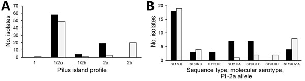 Distribution of pilus island profiles (A) and alleles within pilus island 2a (B) across Streptococcus agalactiae isolates from humans (dark bars) and bovids (light bars). Letter and number combinations in B show sequence type (ST), molecular serotype (Roman numeral), and allele for pilus island 2a (capital letter).