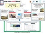 Thumbnail of Structure and communication flow of a mobile short-message-service–based disease outbreak alert system (mSOS) in Kenya. Source: mSOS Technical Working Group, Ministry of Health Kenya.