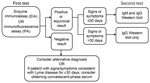 Thumbnail of Two-tiered testing for Lyme disease, United States. Adapted from (7).