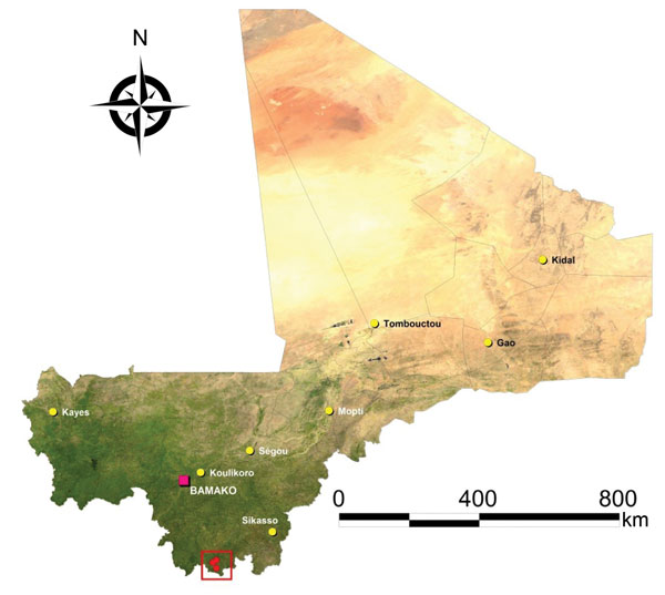 Study sites for assessment of Lassa virus seroprevalence in humans, southern Mali, 2015. The 3 villages of Soromba, Banzana, and Bamba (within red square) in Sibirilia commune, Bougouni district, were selected on the basis of previous identification of Lassa virus–infected rodents in peridomestic settings.