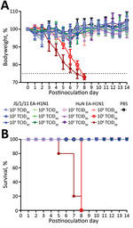 Thumbnail of Illness (A) and death (B) among C57BL/6 mice inoculated with Eurasian avian-like influenza A/Jiangsu/1/2011 (JS/1/11 EA-H1N1) virus or Eurasian avian-like influenza A/Hunan/42443/2015 (HuN EA-H1N1) virus. Eight-to-ten week old female C57BL/6J mice (5/group) were inoculated intranasally with various 50% tissue culture infectious doses (TCID50) of JS/1/11 EA-H1N1 virus or HuN EA-H1N1 virus (in 50-μL of PBS) or with 50 μL mL of PBS (control group). A) Illness was assessed by weight cha