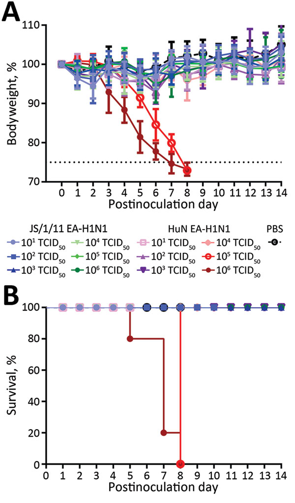 Illness (A) and death (B) among C57BL/6 mice inoculated with Eurasian avian-like influenza A/Jiangsu/1/2011 (JS/1/11 EA-H1N1) virus or Eurasian avian-like influenza A/Hunan/42443/2015 (HuN EA-H1N1) virus. Eight-to-ten week old female C57BL/6J mice (5/group) were inoculated intranasally with various 50% tissue culture infectious doses (TCID50) of JS/1/11 EA-H1N1 virus or HuN EA-H1N1 virus (in 50-μL of PBS) or with 50 μL mL of PBS (control group). A) Illness was assessed by weight changes over 14 