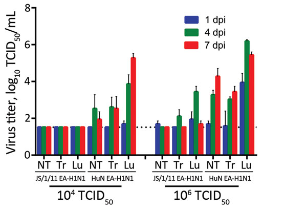 Replication of Eurasian avian-like influenza A/Jiangsu/1/2011 (JS/1/11 EA-H1N1) virus and Eurasian avian-like influenza A/Hunan/42443/2015 (HuN EA-H1N1) virus in the respiratory tracts of C57BL/6 mice. Eight- to ten-week-old female mice (3/group/time point) were inoculated intranasally with 50 μL of PBS containing 104 or 106 TCID50 of JS/1/11 EA-H1N1 or HuN EA-H1N1 virus. Mice from each group were euthanized at 1, 4, and 7 days postinoculation (dpi). Tissues from each animal were homogenized in 