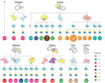 Thumbnail of Geographic locations of resident villages of persons infected during outbreak of Streptococcus suis identified by whole-genome sequencing as minimum core genome type 1 sequence type 7, Sichuan Province, China, 2005. The 4 levels of administrative divisions (city, county, town, and village) are displayed to show the geographic locations and relationships of isolates. Drawings of the cities and counties are simplified maps of those territories. Towns are depicted with 4 houses, and vi