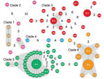 Thumbnail of Minimum spanning tree of 6 clades of Streptococcus suis minimum core genome type 1 sequence type 7 implicated in outbreak of human infections, Sichuan Province, China, 2005. Solid black lines indicate only 1 single-nucleotide polymorphism between the 2 isolates. Differences of &gt;1 SNP between isolates are displayed by dashed black lines with numbers. Numbers in circles are names of isolates. Epidemiologically interesting (EI) group 1: SC261 and SC264; EI 2: SC202, SC212, SC214, an