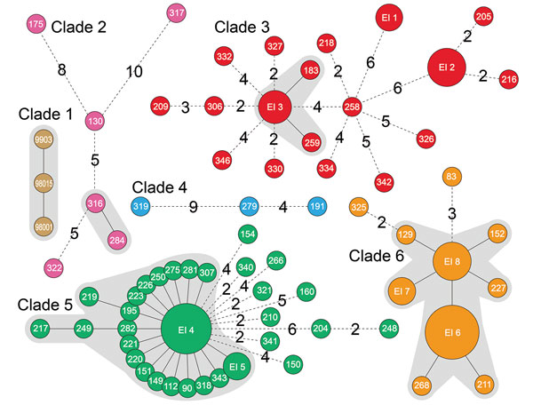 Minimum spanning tree of 6 clades of Streptococcus suis minimum core genome type 1 sequence type 7 implicated in outbreak of human infections, Sichuan Province, China, 2005. Solid black lines indicate only 1 single-nucleotide polymorphism between the 2 isolates. Differences of &gt;1 SNP between isolates are displayed by dashed black lines with numbers. Numbers in circles are names of isolates. Epidemiologically interesting (EI) group 1: SC261 and SC264; EI 2: SC202, SC212, SC214, and SC328; EI 3