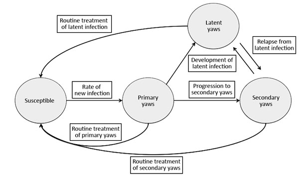 Markov model of yaws transmission. Susceptible persons become infected at a rate dependent on the probability of transmission and the number of persons with infectious primary and secondary yaws. Without treatment, illness progresses from primary disease to either latent yaws or secondary yaws. Persons with latent yaws might relapse to generate secondary cases of infectious yaws in others.