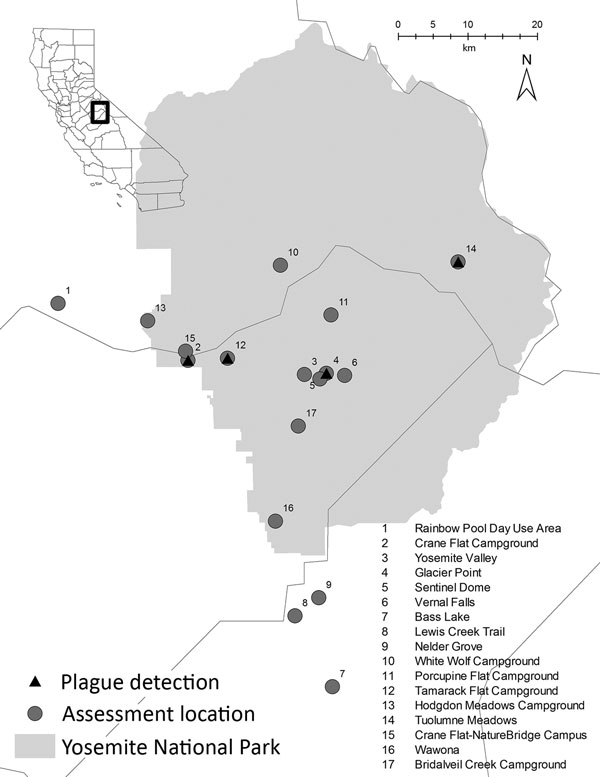 Locations of plague transmission risk assessments in and around Yosemite National Park, California, USA, August–October 2015.