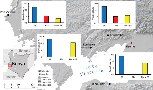 Location of sites in western Kenya for study of Plasmodium malariae prevalence and circumsporozoite protein gene diversity, Kenya, 2014 and 2015. Prevalence (logarithmic vertical scales) of P. falciparum monoinfections (PF), P. malariae monoinfections (PM), and P. falciparum and P. malariae co-infections (PF+PM) are shown for each study site.