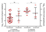 Thumbnail of Parasite gene copy numbers (per microliter) detected by SYBR Green (Thermo Scientific, Foster City, CA, USA) quantitative PCR and parasitemia (parasites per microliter) determined by microscopy of Plasmodium malariae samples from asymptomatic and symptomatic persons. Median, first quartile, and fourth quartile of the data are shown for each sample category (horizontal lines). No significant difference was observed between asymptomatic and symptomatic persons in terms of P. malariae 