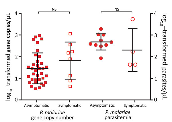 Parasite gene copy numbers (per microliter) detected by SYBR Green (Thermo Scientific, Foster City, CA, USA) quantitative PCR and parasitemia (parasites per microliter) determined by microscopy of Plasmodium malariae samples from asymptomatic and symptomatic persons. Median, first quartile, and fourth quartile of the data are shown for each sample category (horizontal lines). No significant difference was observed between asymptomatic and symptomatic persons in terms of P. malariae parasite gene