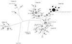 Thumbnail of Maximum-parsimony tree of partial viral protein 1 sequences of enterovirus D68 (EV-D68). Included are the strains obtained in the laboratory of the University Medical Center Groningen (Groningen, the Netherlands) in 2014 (light gray, n = 23) and 2016 (black, n = 20) and worldwide isolates from 2014 (dark gray, n = 73). Recent strains cluster in the recently described clade B3, with a nucleotide divergence of 2.1% within clade B3, 5.5% to clade B1, and 7.3% to clade B2. Clades are ac