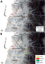 Thumbnail of Testing for influenza in swine from backyard production farms (BPFs) in Central Chile. Swine serum samples collected from BPFs were analyzed for antibodies against influenza by nucleoprotein (NP)–specific ELISA, and hemagglutination inhibition analysis of serum samples from NP ELISA–positive farms was conducted to determine subtype. A) Results of influenza testing by BPF location. Red circles indicate location of positive farms, and gray circles indicate location of negative farms. 