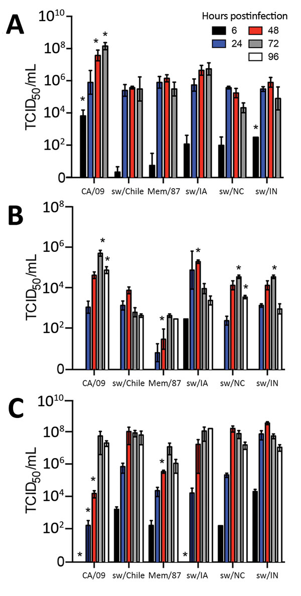 Replication of influenza viruses in vitro. MDCK cells (A), primary normal human bronchial epithelial cells (B), or primary swine nasal epithelial cells (C) were grown in an air-liquid interface and infected with the indicated viruses at a multiplicity of infection of 0.01. Cell culture supernatants were collected at 6 hours postinfection (hpi), 24 hpi, 48 hpi, and 72 hpi, for MDCK cells and 6 hpi, 24 hpi, 48 hpi, 72 hpi, and 96 hpi for primary normal human bronchial epithelial cells and primary 