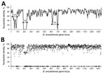 Thumbnail of Pairwise comparisons of protein-coding genes of Bartonella isolates from patients with verruga peruana, rural Ancash region, Peru. A) Nucleotide similarity of B. ancashensis protein-coding sequences compared with those of B. bacilliformis (gray circles in panel B), top hit non-bacilliformis Bartonella (+ in panel B) and not determined hypothetic proteins (Δ in panel B). B) Nucleotide similarity plot. Average nucleotide identity within a window of 10 genes was plotted against gene lo