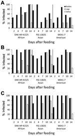 Thumbnail of Infection, dissemination, and transmission of 3 Zika virus strains by Aedes aegypti mosquitoes from the Dominican Republic after artificial blood meals with a concentration of 4 log10 (A), 5 log10 (B), or 6 log10 (C) focus-forming units/mL.