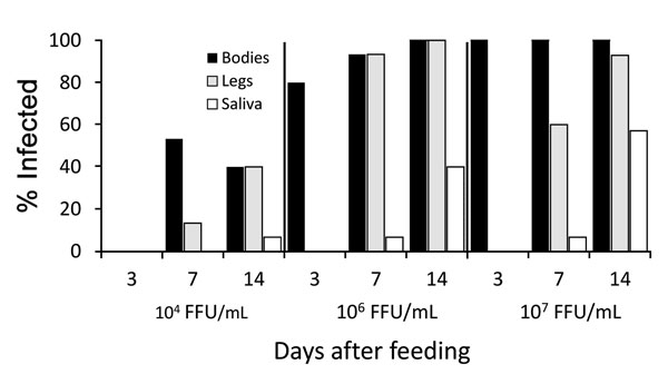 Infection, dissemination, and transmission of the Zika virus strain FSS 13025 by Aedes aegypti mosquitoes from Salvador, Brazil, after blood meals from infected A129 mice with viremic titers of 4 log10, 6 log10, or 7 log10 focus-forming units/mL.