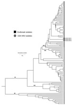 Thumbnail of Polygenetic analysis of HAV isolates within the Centers for Disease Control and Prevention’s US HAV database. The genomic regions are the 315-bp long HAV VP1/P2B (viral protein 1/amino terminus of 2B). Black squares indicate isolates from the outbreak of HAV transmitted through a combined liver–small intestine–pancreas transplantation, Texas, USA, 2014–2015. Scale bar indicates nucleotide variation. HAV, hepatitis A virus.