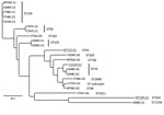 Thumbnail of Phylogenetic analyses of mcr-1–positive Escherichia coli isolated from chickens and chicken farmers, Vietnam, 2012–2013. Maximum-likelihood tree of 22 mcr-1–carrying E. coli isolated from 15 chicken fecal samples and 3 human fecal swab samples (underlined), constructed by using CSI Phylogeny 1.4 (https://cge.cbs.dtu.dk//services/CSIPhylogeny/), shows a genome-wide single-nucleotide polymorphism (SNP) comparison. A total of 74,585 SNPs were concatenated for pairwise comparison (diffe