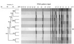 Thumbnail of ApaI restriction enzyme analysis of Listeria monocytogenes outbreak strain and isolates with &gt;90% similarity to the outbreak strain, southern Germany, 2012–2016. We performed molecular subtyping in line with the PulseNet standardized PFGE protocol for L. monocytogenes (8) and the standard operating procedures of the European Union Reference Laboratory for L. monocytogenes (9) to ensure interlaboratory comparability of the results. We analyzed PFGE patterns using BioNumerics softw