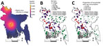 Thumbnail of A) Locations of identified bat-to-human transmission of Nipah virus and spatial intensity of transmission events, Bangladesh, 2001–2012. B) Relative sizes of the Pteropus medius bat populations in case and control villages (including within 5 km of each village). C) Proportion of households in case and control villages with persons who regularly consume fresh date palm sap.