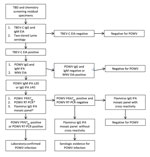 Thumbnail of Flow chart showing series of tests performed on specimens obtained from patients with suspected TBD and patients undergoing routine chemical screening to determine POWV seroreactivity, Wisconsin, July–August 2015. *Performed for TBD samples positive for POWV IgG or IgM and chemical screening samples positive for POWV IgM by IFA assay. †Performed for samples positive for POWV IgG by IFA assay. IFA, immunofluorescence antibody assay; POWV, Powassan virus; PRNT90, &gt;90% plaque reduct