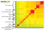 Thumbnail of Identity between OPV Abatino, obtained from skin lesion of Tonkean macaque during outbreak at animal sanctuary, Italy, January 2015, and available OPV genomes on the basis of 9 concatenated conserved genes: A7L, A10L, A24R, D1R, D5R, H4L, E6R, E9L, and J6R. Red indicates more similarity, green less similarity. Sequences shown (GenBank accession nos.): 1) OPV Tena Dona AK2015 (KX914668–76); 2) OPV GCP2013 Akhmeta (KM046934–42); 4–6) ECTV-Moscow (AF012825.2), ECTV-Naval (KJ563295.1), 