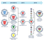 Thumbnail of Illustration of original reassortment events of novel highly pathogenic avian influenza (HPAI) A(H5N8) viruses isolated from Siberia and Europe in 2016. The 8 gene segments (from top to bottom) in each virus are polymerase basic 2, polymerase basic 1, polymerase acidic, hemagglutinin, nucleoprotein, neuraminidase, matrix, and nonstructural. Each color indicates a separate virus background. In 2010, HPAI A(H5N1) clade 2.3.4 viruses reassorted with subtype N8 viruses from Eurasia and 