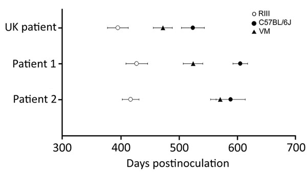 Comparison of vCJD incubation periods in wild-type mice from inoculation of brain tissue homogenates from 2 patients from Spain (son, patient 1; mother, patient 2) with vCJD and a reference patient from the United Kingdom. Results show similar incubation period ranking. Incubation periods were calculated in mice showing clinical and pathologic signs of transmissible spongiform encephalopathy disease. There was a single positive case in VM mice from patient 2. Data show mean incubation period ± S