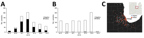 Incidence of canine influenza A(H3N2) virus RNA–positive dogs in the Chicago, Illinois, area, USA, March 14–April 27, 2015. A) Weekly testing summary of samples collected within Illinois. B) Weekly testing summary of samples collected in all other states. C) Presence of virus in the Midwest region, by US postal code.