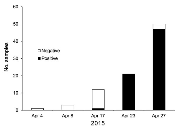 Spread of canine influenza A(H3N2) virus in an animal shelter in the Chicago, Illinois, area, USA, April 2015. The first virus-positive result was obtained on April 17; by April 23, the virus had infected all dogs tested.