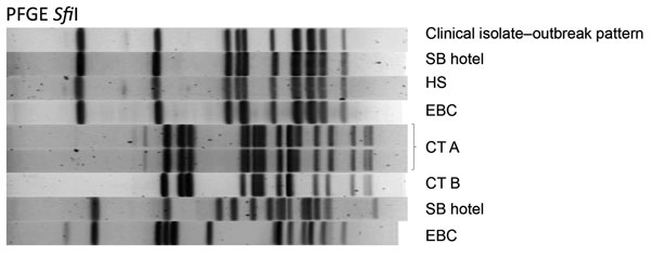 Pulsed-field gel electrophoresis (PFGE) of case-patient and environmental isolates from a Legionnaires’ disease outbreak caused by an endemic strain of Legionella pneumophila, New York City, New York, USA, 2015. One clinical isolate with the outbreak PFGE pattern (Clinical isolate−outbreak pattern) shows matches to 2 cooling tower (CT A and CT B) isolates from the South Bronx Hotel (SB), a homeless shelter (HS), and East Bronx College (EBC). Molecular typing patterns of Legionella pneumophila se