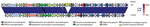 Thumbnail of The sequence of the Stx2a-encoding phage from the July 2014 Dorset County, England, outbreak strain of Shiga toxin–producing Escherichia coli O55:H7, designated 122262, showed &gt;98% nt identity with an outlier Stx2a-encoding phage designated 155, found in a subset of isolates off Shiga toxin–producing Escherichia coli O157 geographically associated with the island of Ireland. The main difference between the 2 prophages was an insertion sequence element.