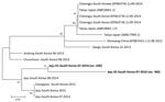 Thumbnail of Phylogenetic tree constructed based on partial small segment sequences of severe fever with thrombocytopenia syndrome virus identified in stored serum samples collected in 2010 from 2 patients in South Korea (bold) compared with reference viruses. We constructed the tree using the maximum-likelihood method with MEGA 6 (10). The partial small sequence data for the viruses identified in China, South Korea, and Japan were obtained from GenBank (accession numbers in parentheses). Scale 