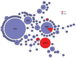 Thumbnail of Multilocus sequence typing comparison of Streptococcus pneumoniae serotype 12F serotype isolates from Israel and globally.