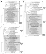 Thumbnail of Phylogenetic analyses of the amino acid sequences of PoAstV-3 isolates (bold) from 3 symptomatic newly weaned pigs (GD-1, GD-3, and GD-5; see Table 1) from a farm in Hungary compared with reference isolates. A) ORF1a; B) ORF1b; C) ORF2. We included in the analysis available strains of the closest relatives (identified by blastx search [https://blast.ncbi.nlm.nih.gov/Blast.cgi]) of neuroinvasive PoAstV-3, all of the known porcine astroviruses with available complete coding sequences,