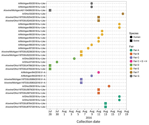 Timeline of detection of human and swine influenza A virus isolates at agricultural fairs in 2016. Isolates recovered are shown as squares for swine and circles for humans; colors indicate the fair attended. One person was exposed to pigs at 3 fairs (C, E, and H). Fair H is an eighth location not described in this study.