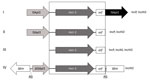 Thumbnail of Genetic environments associated with the mcr-1 (mobile colistin resistance 1) gene detected in select Enterobacteriacae isolates from pigs, Portugal, by PCR. I) 1 copy of ISApl1 associated with mcr-1 in 5′ region; II) 2 copies of ISApl1 in 5′ and 3′ regions of mcr-1; III) no copy of ISApl1 associated with mcr-1; IV) truncated copy of ISApl1 associated with mcr-1 in 5′ region inserted in a kinase gene. IS, insertion sequence; orf, open reading frame.