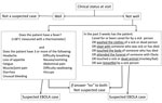 Thumbnail of World Health Organization screening flowchart for Ebola virus disease used during outbreak in Sierra Leone (late-2014 case definition). Adapted from (9).