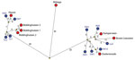 Thumbnail of Median-joining network showing the genetic relationship between highly pathogenic avian influenza A viruses subtype H5N8 isolated from commercial poultry farms (red circles) and the most identical wild bird viruses (blue circles) found in the Netherlands, 2016. Predicted median vectors are shown in yellow. The length of the line represents the genetic distance, and the number of nucleotide changes is indicated. Wild bird virus isolates used for this analysis are numbered 1–10 (Techn