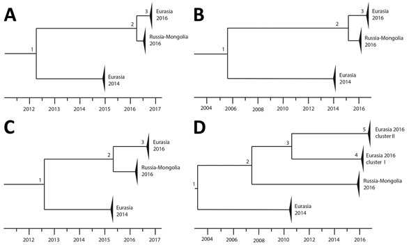 Schematic representation of the molecular dating analysis of highly pathogenic avian influenza A virus subtypes H5N8 and H5N5 detected in the Netherlands, 2016. Time-scaled phylogenetic trees are shown for 4 gene segments: A) hemagglutinin; B) polymerase basic 2; C) nucleoprotein; and D) polymerase acidic. For each of the numbered nodes, calculated time of most recent common ancestor, 95% highest posterior density interval, and posterior are listed in the Table.